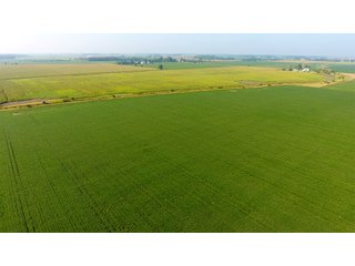 Property photo 9 - LAND AUCTION - 359+/- ACRES IN 2 FARMS IN EAST ALLEN CO., INDIANA & PAULDING CO., OHIO